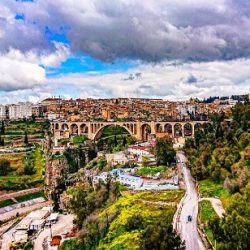 Jasa Pengiriman Barang Ke Aljazair Tarif Paling Murah